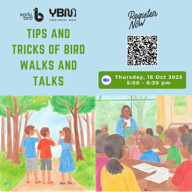 Tips and Tricks of Bird Walks and Talks