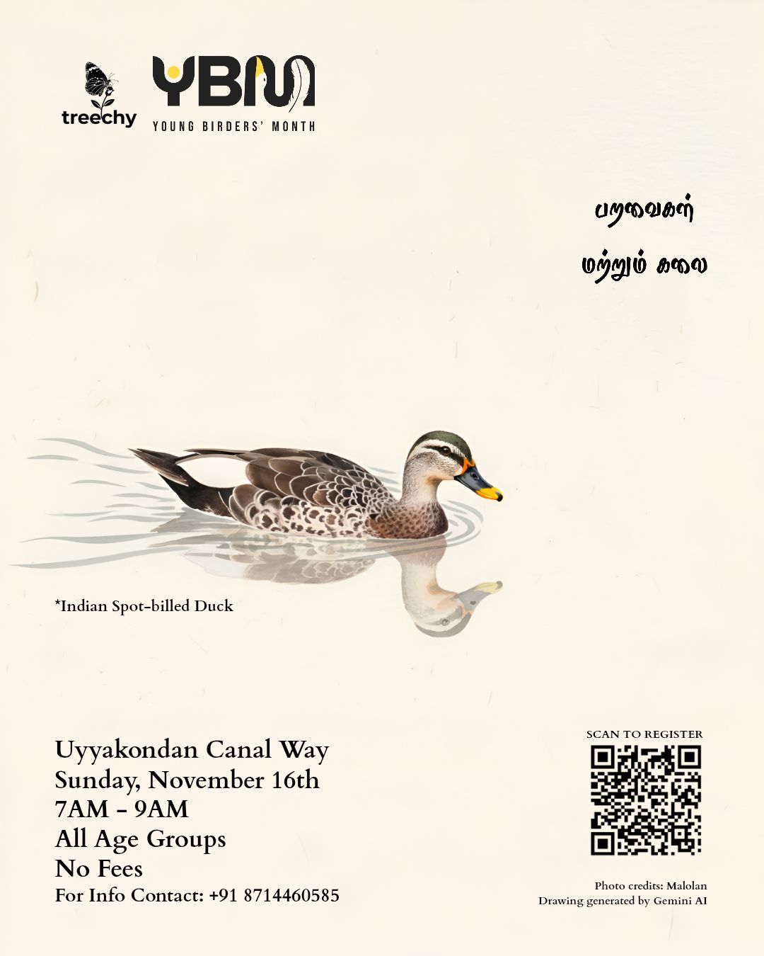 பறவைகள் மற்றும் கலை (Birds and Art)