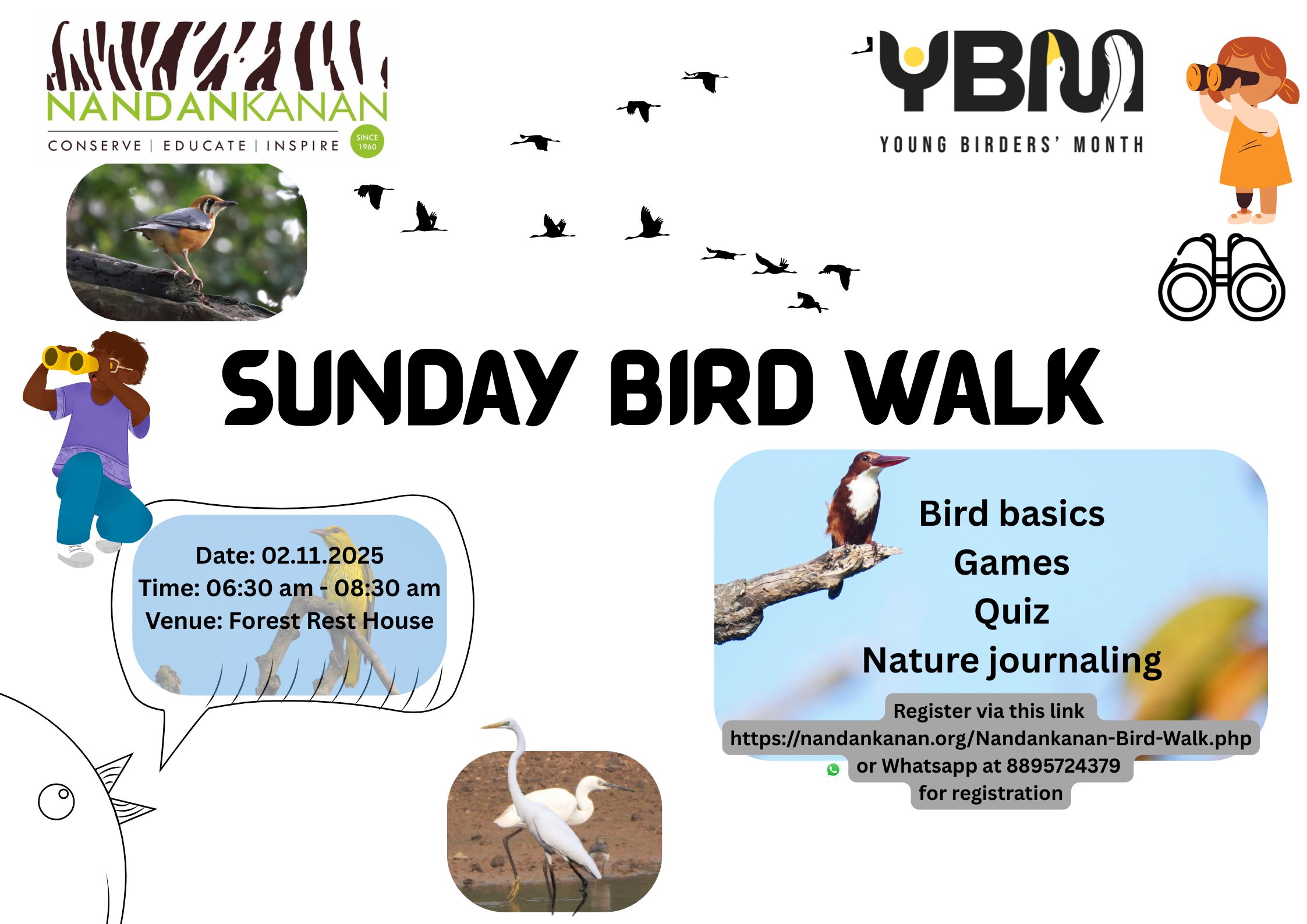 Sunday Bird Walk