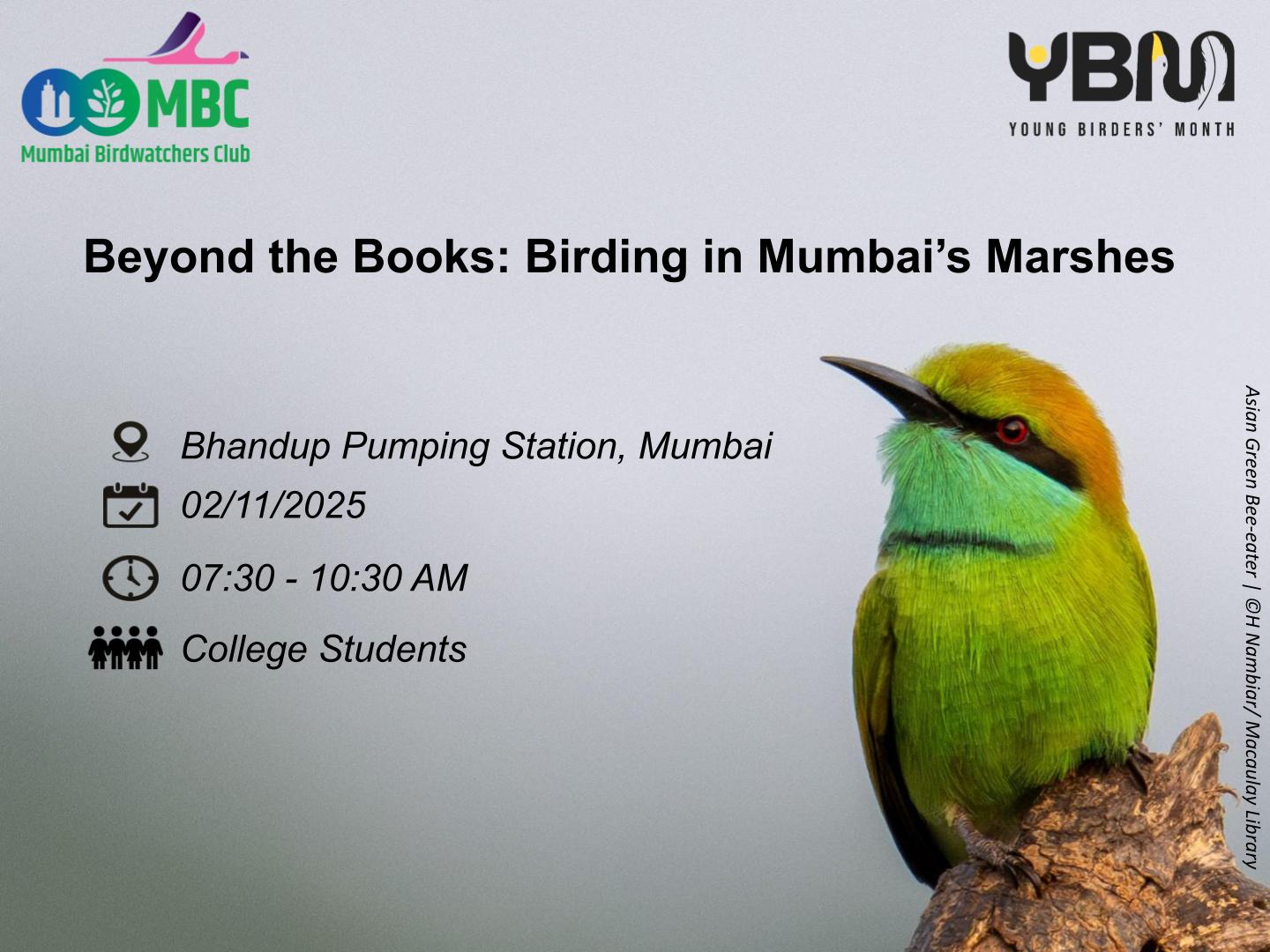 Beyond the Books: Birding in Mumbai’s Marshes