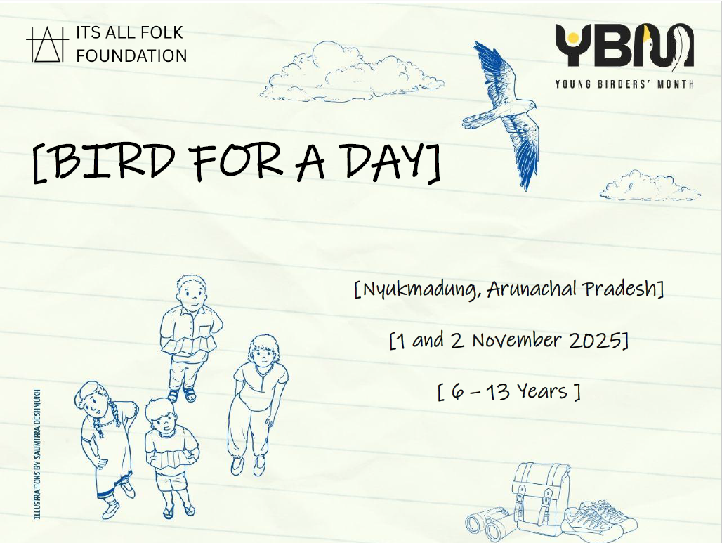 Bird For A Day