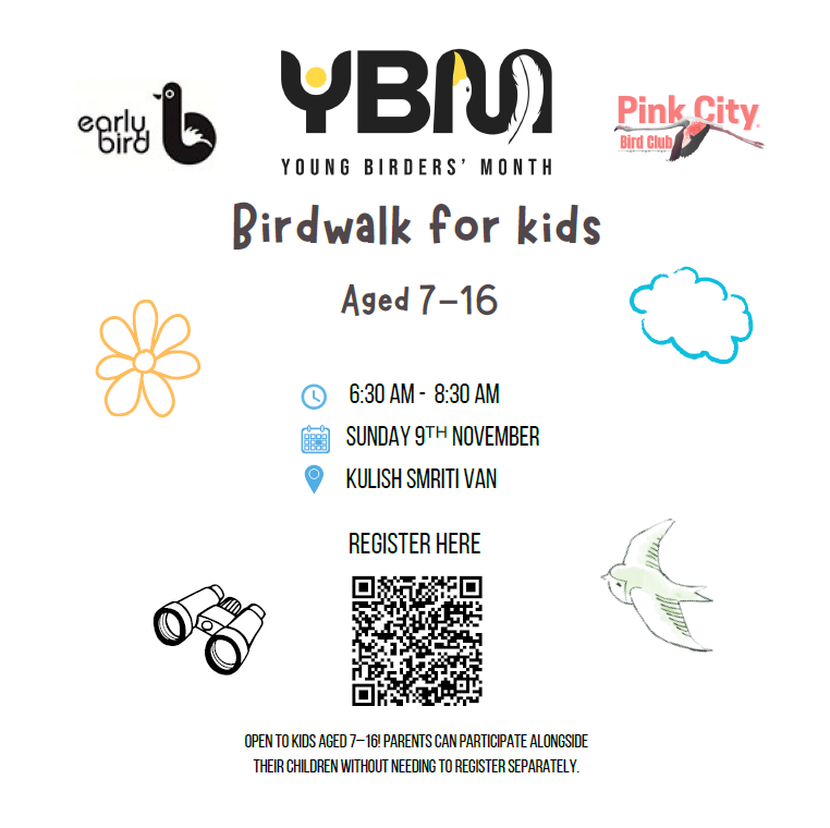 Birdwalk for kids Aged 7–16