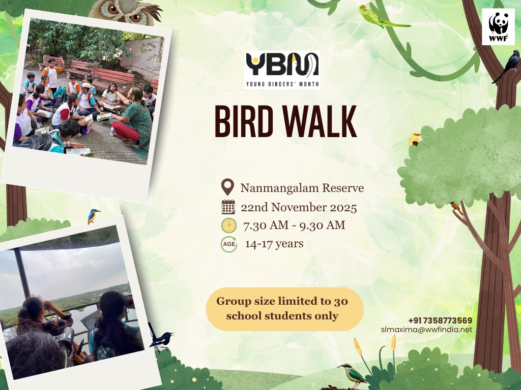 Bird Walk at an Urban Forest
