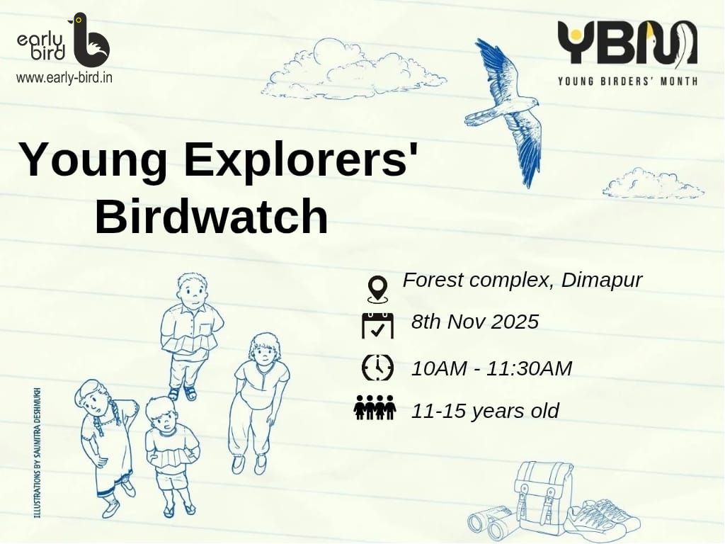Young Explorers Birdwatch
