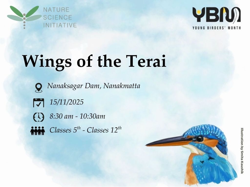 Wings of the Terai
