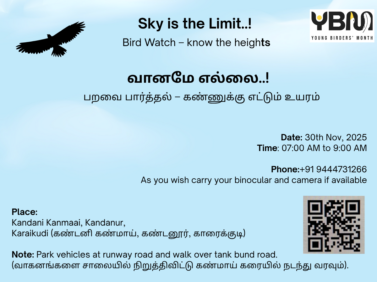 Sky is The Limit