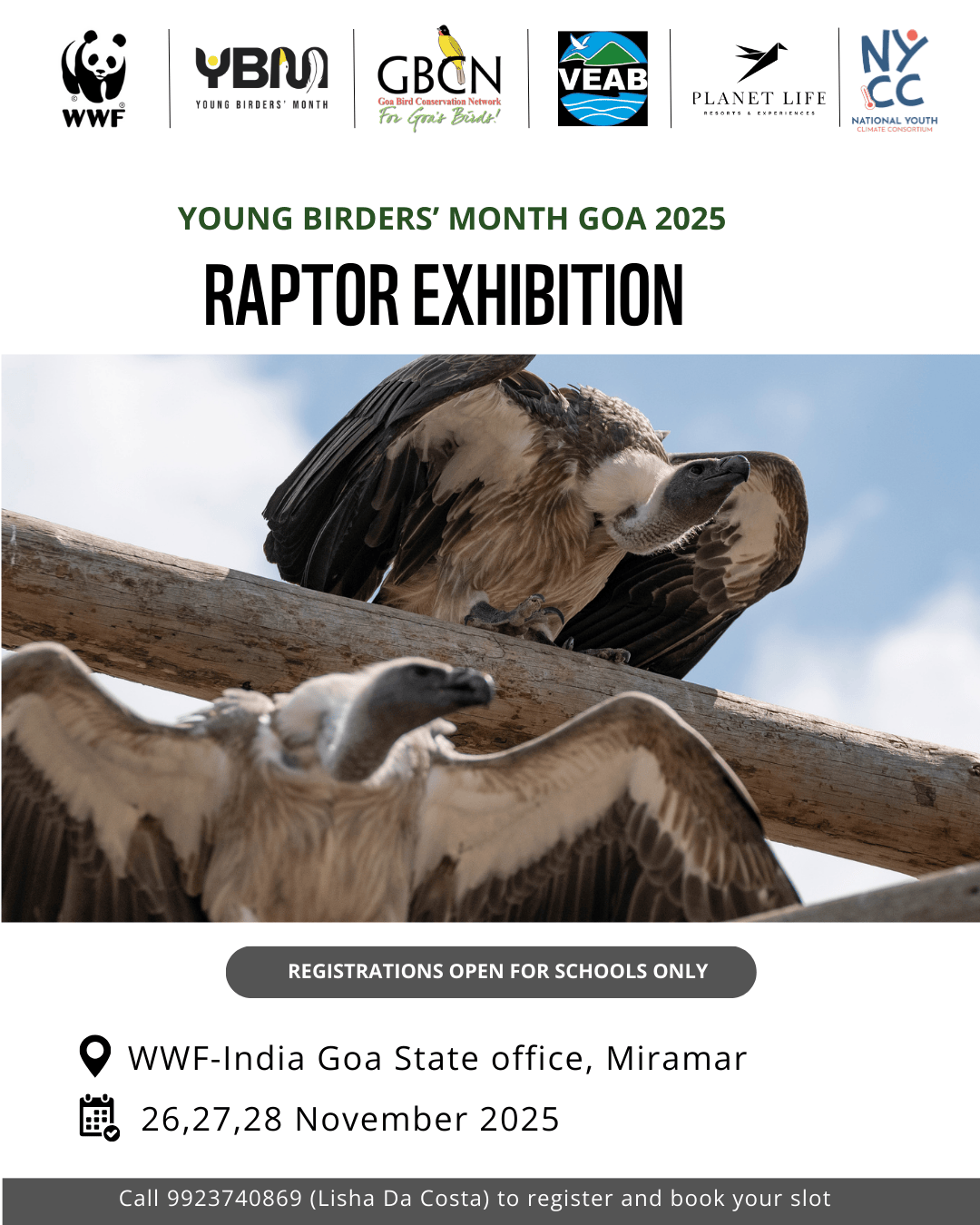 Raptor Exhibition