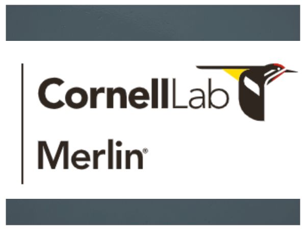 Cornell Lab