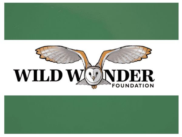 Wild Wonder Foundation