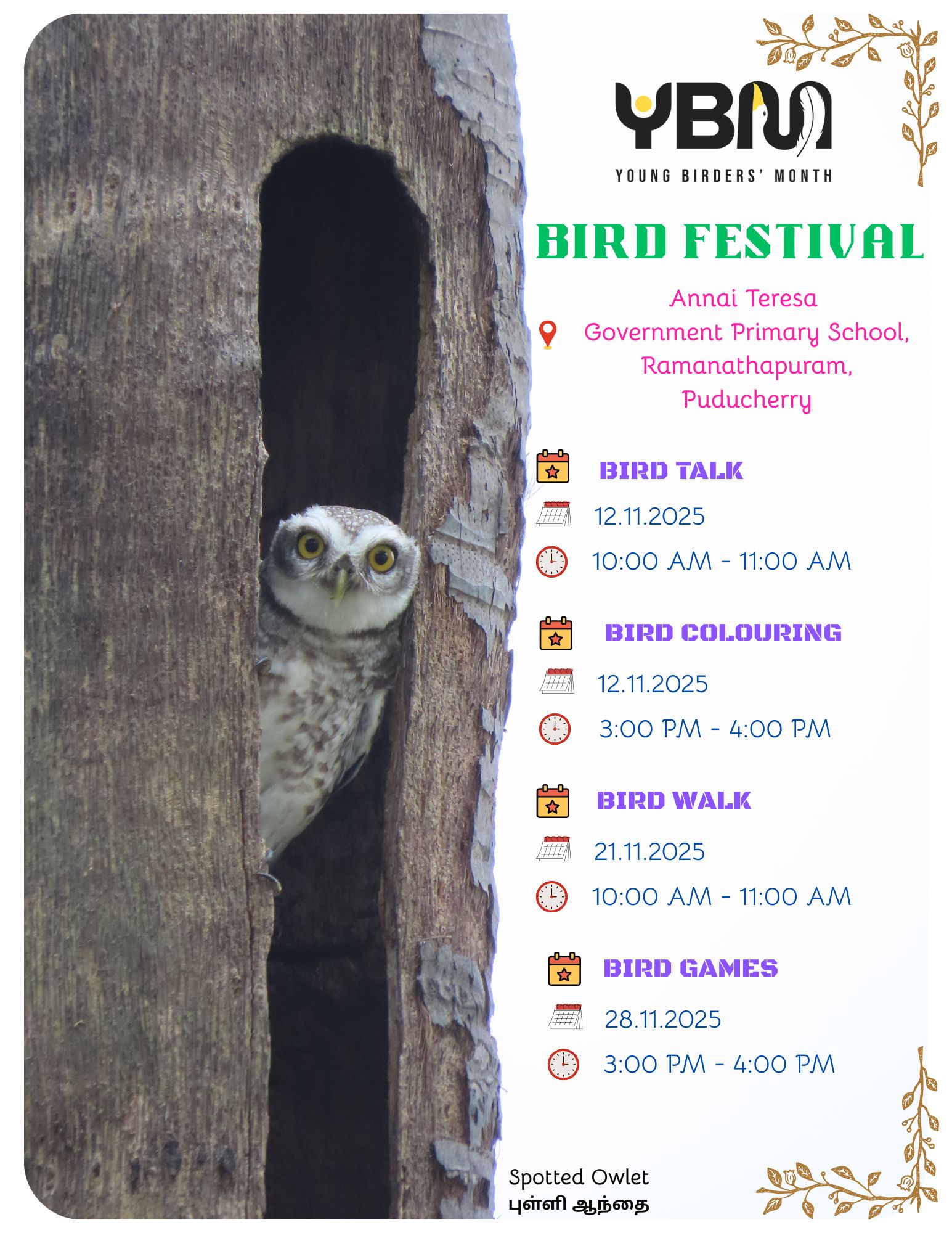 BIRD FESTIVAL