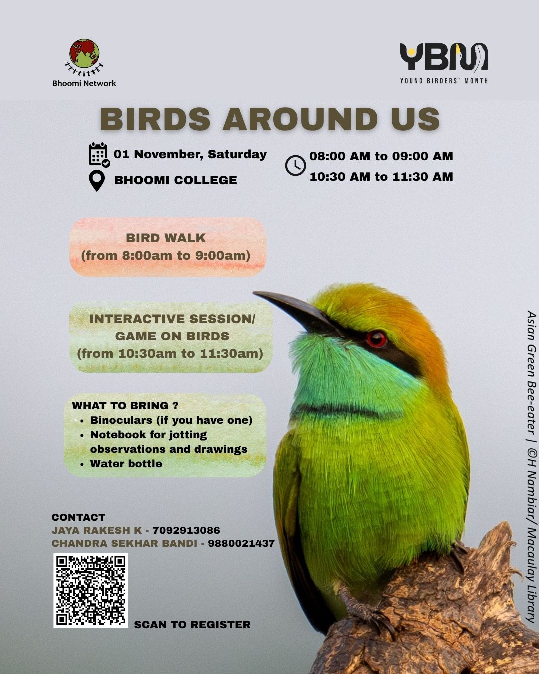 BIRDS AROUND US