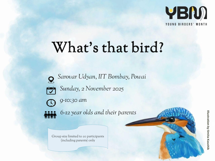 What’s that Bird?
