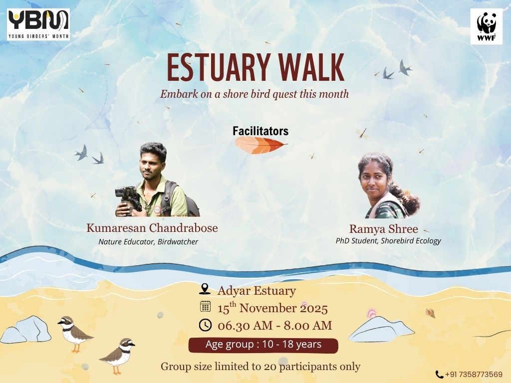 Estuary Walk
