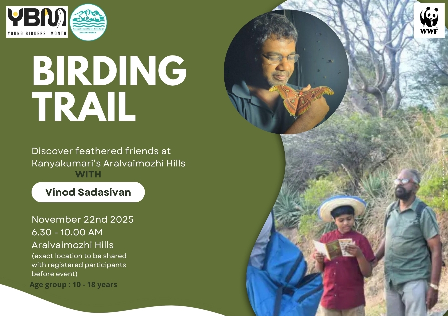 Birding Trail