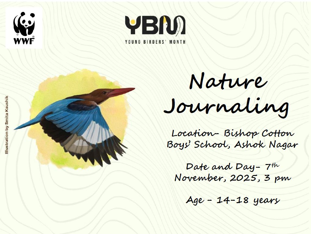 Nature Journaling