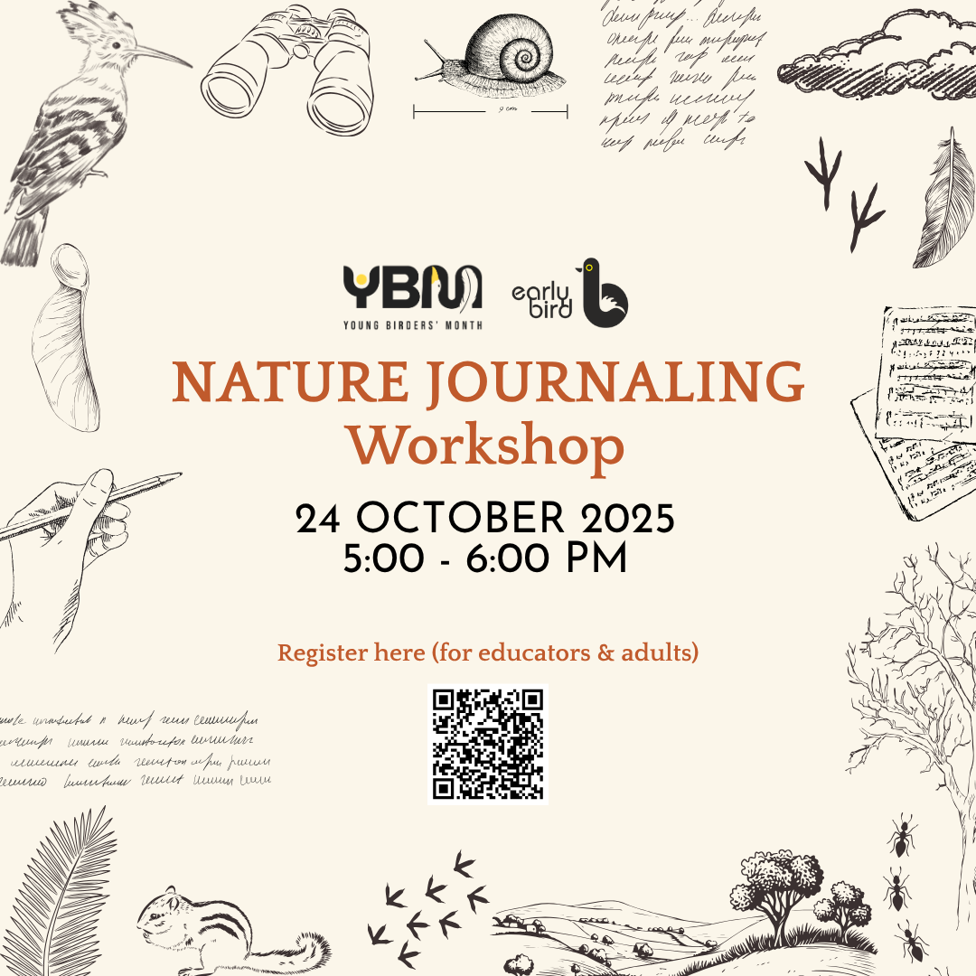 Nature Journaling Workshop for Educators