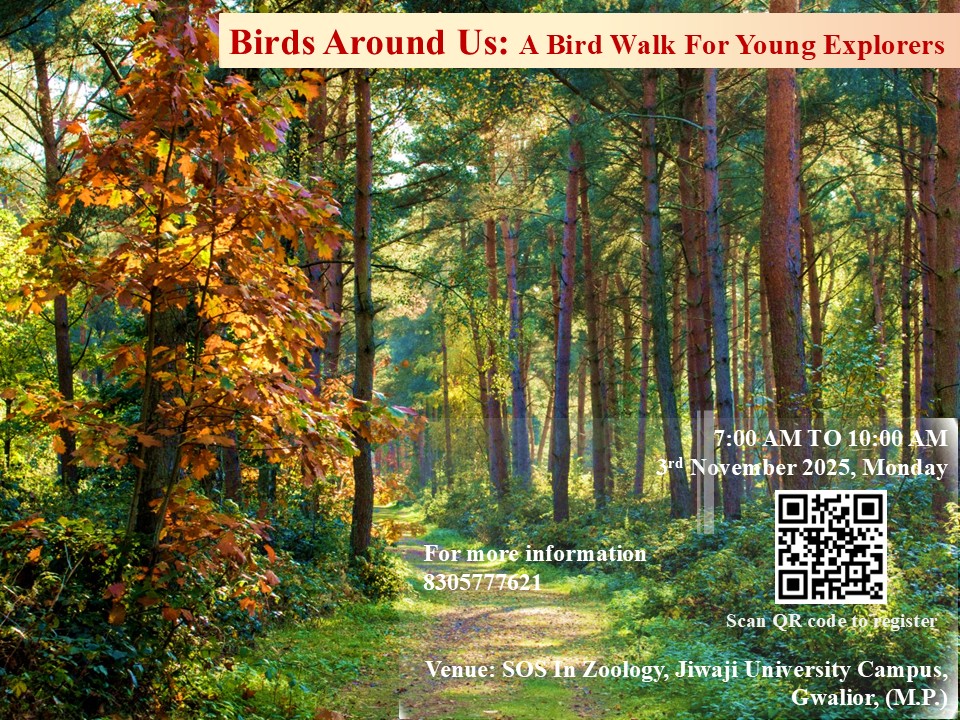 Birds around us: A Nature Walk for Young Explorers