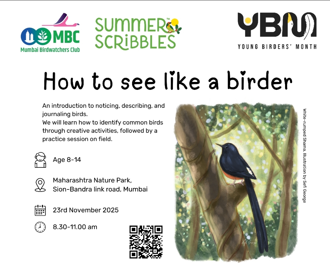 How To See Like A Birder