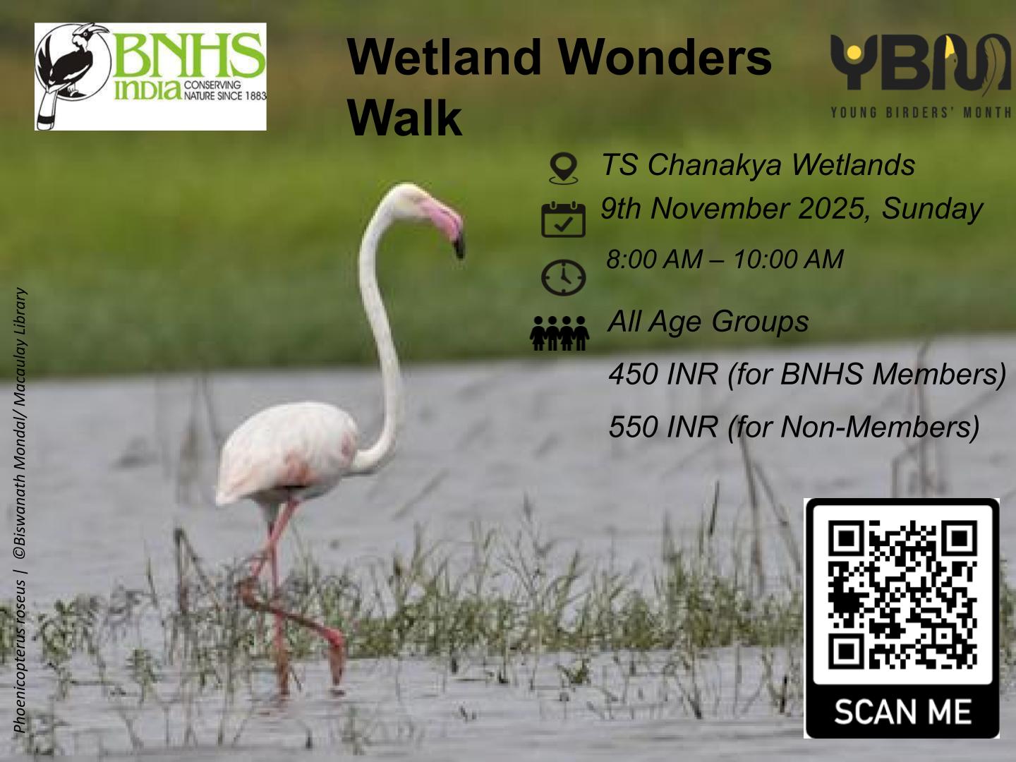 Wetland Wonders Walk at TS Chanakya, Navi Mumbai
