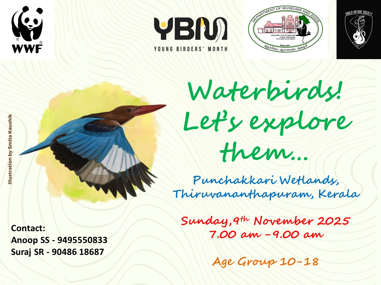 Waterbirds! Let’s Explore Them!