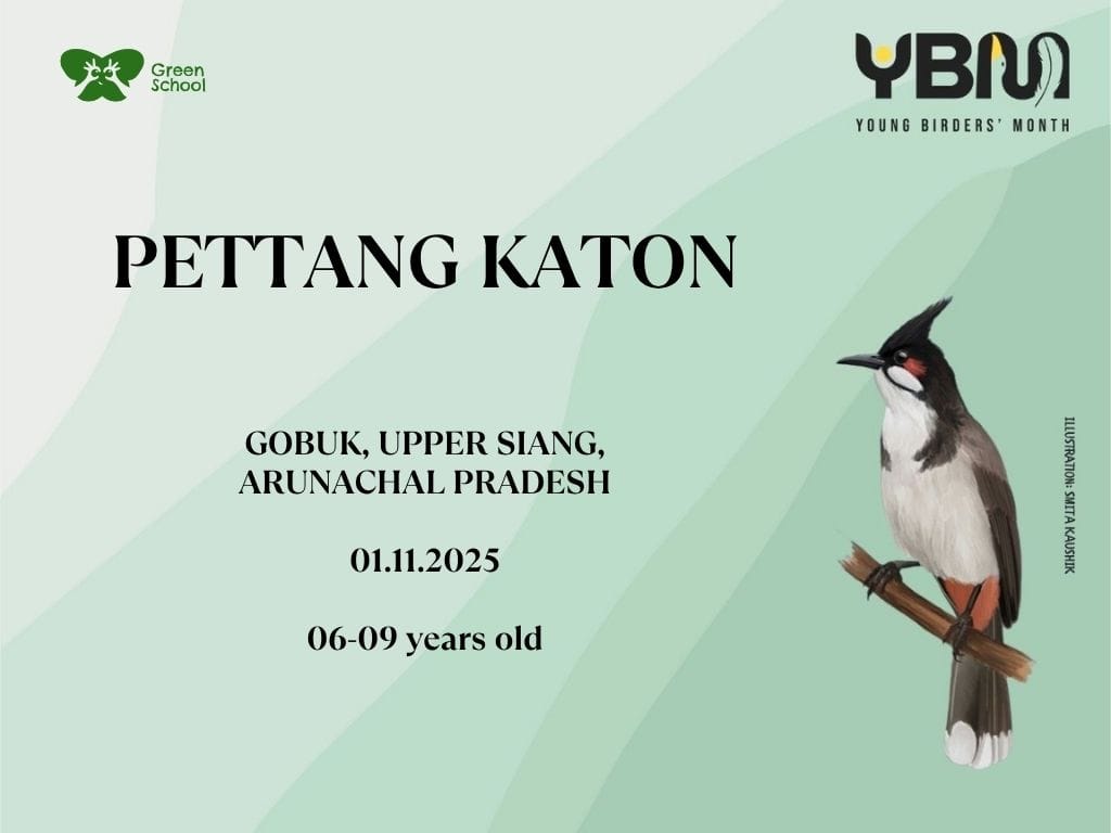 Pettangg Katon – Bird Watching