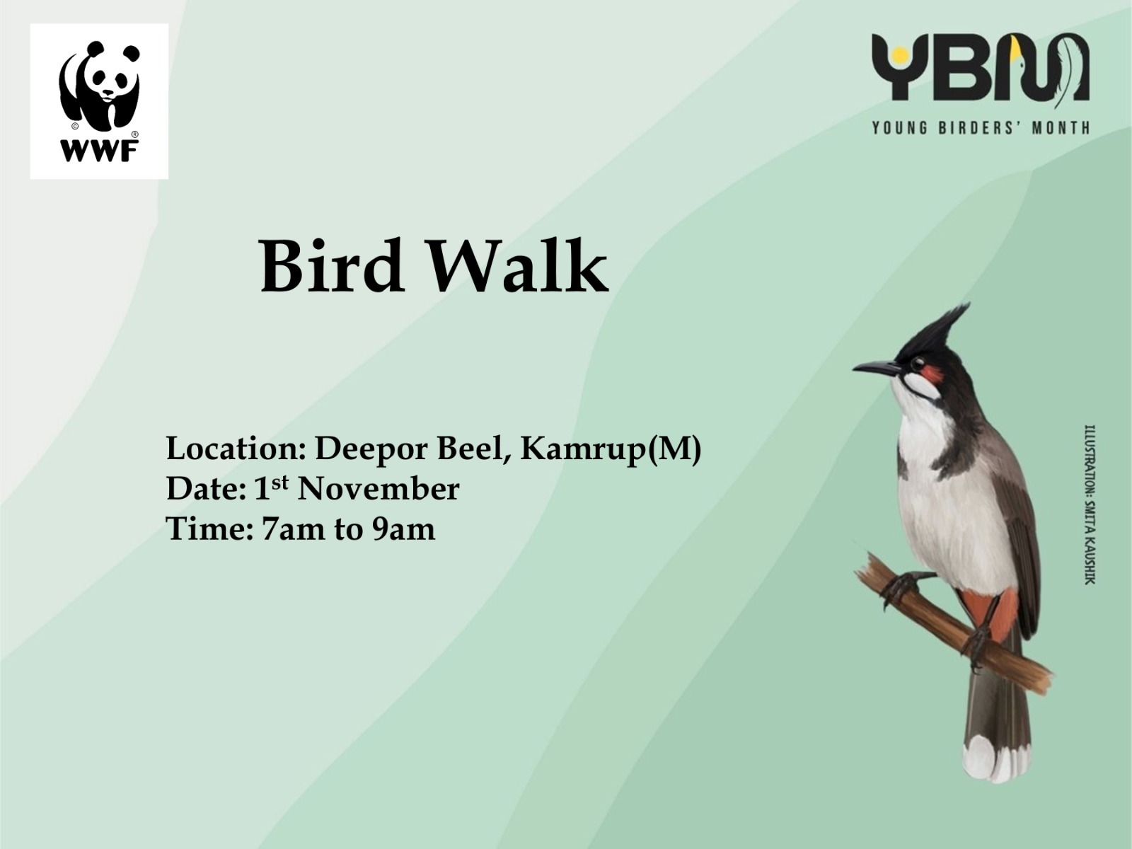 Bird Walk