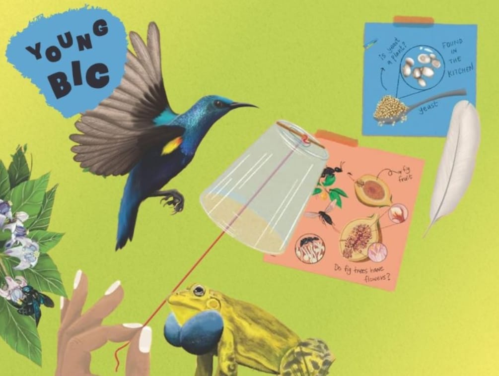 Be a Neighbourhood Naturalist