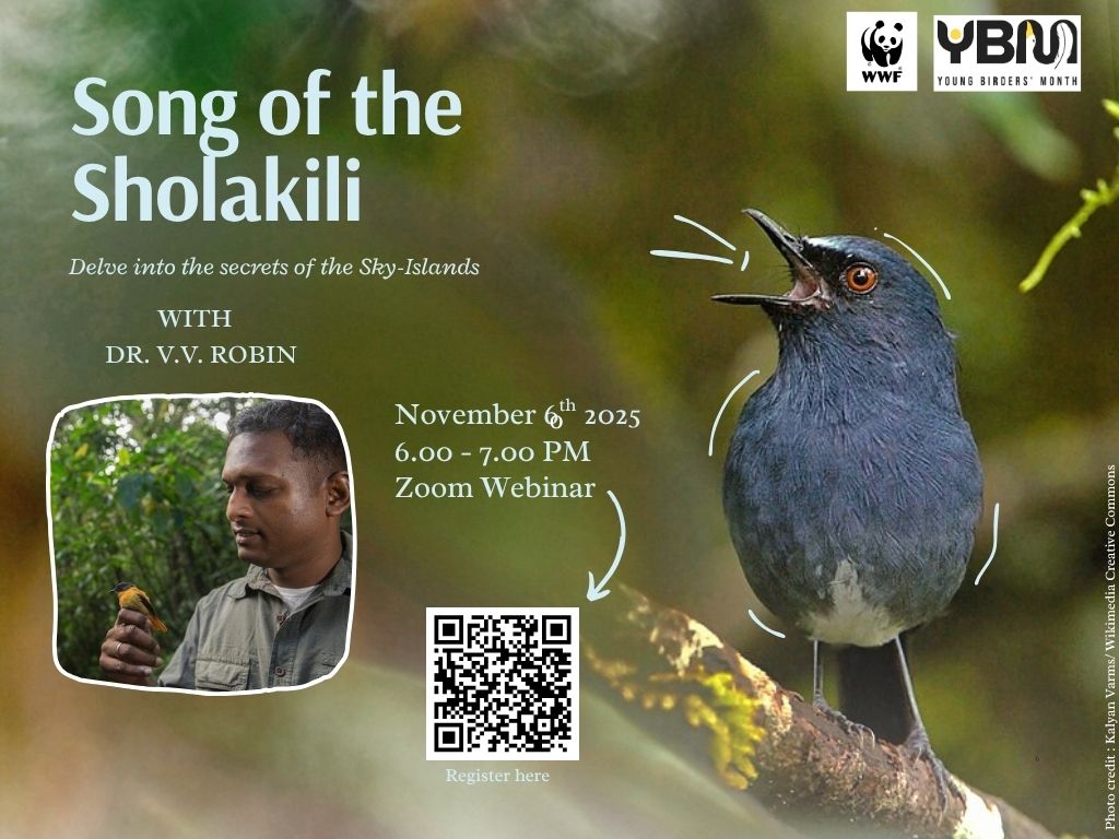 Song of the Sholakili