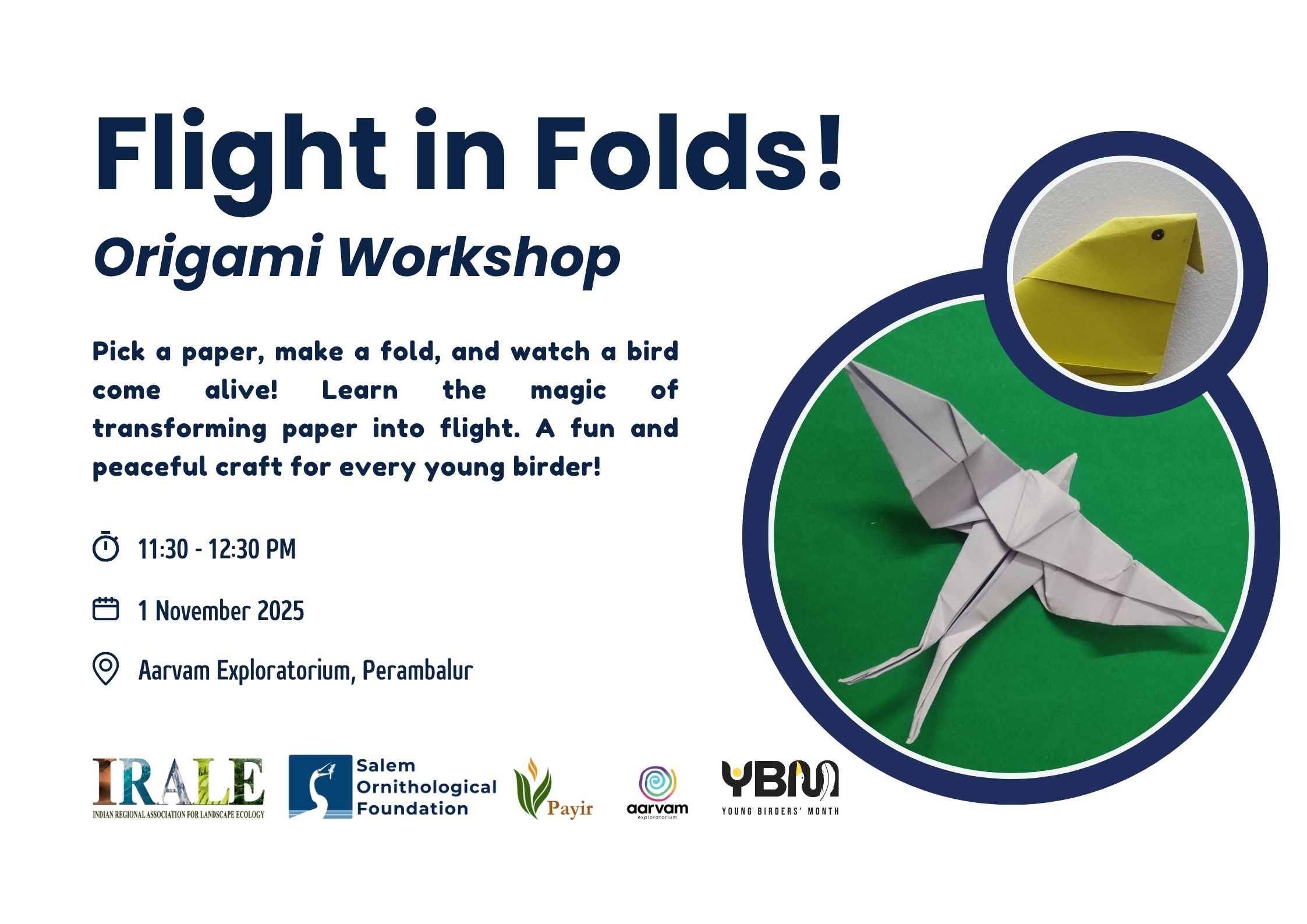 Flight in Folds – Origami Workshop