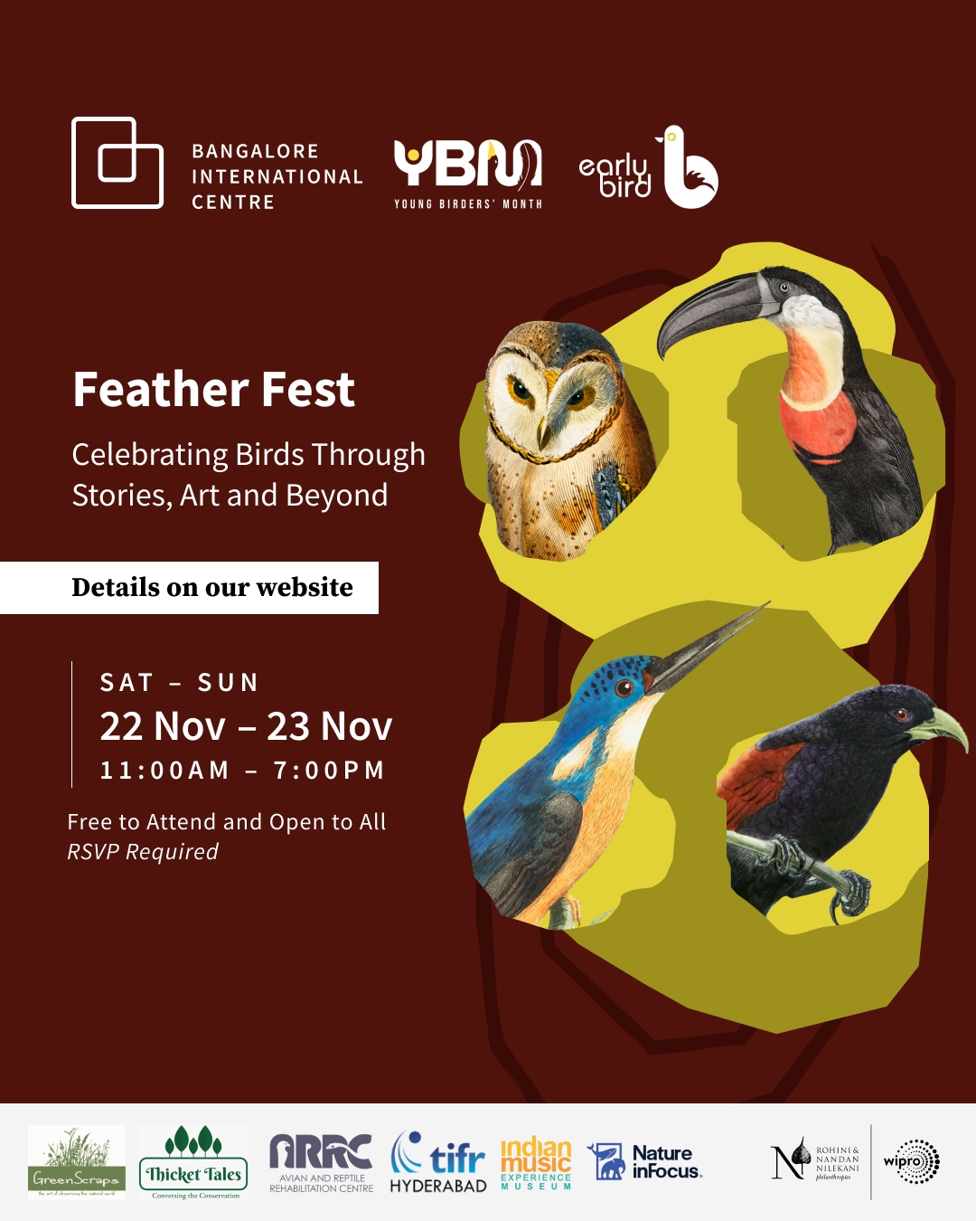 Feather Fest – Celebrating Birds Through Stories, Art and Beyond