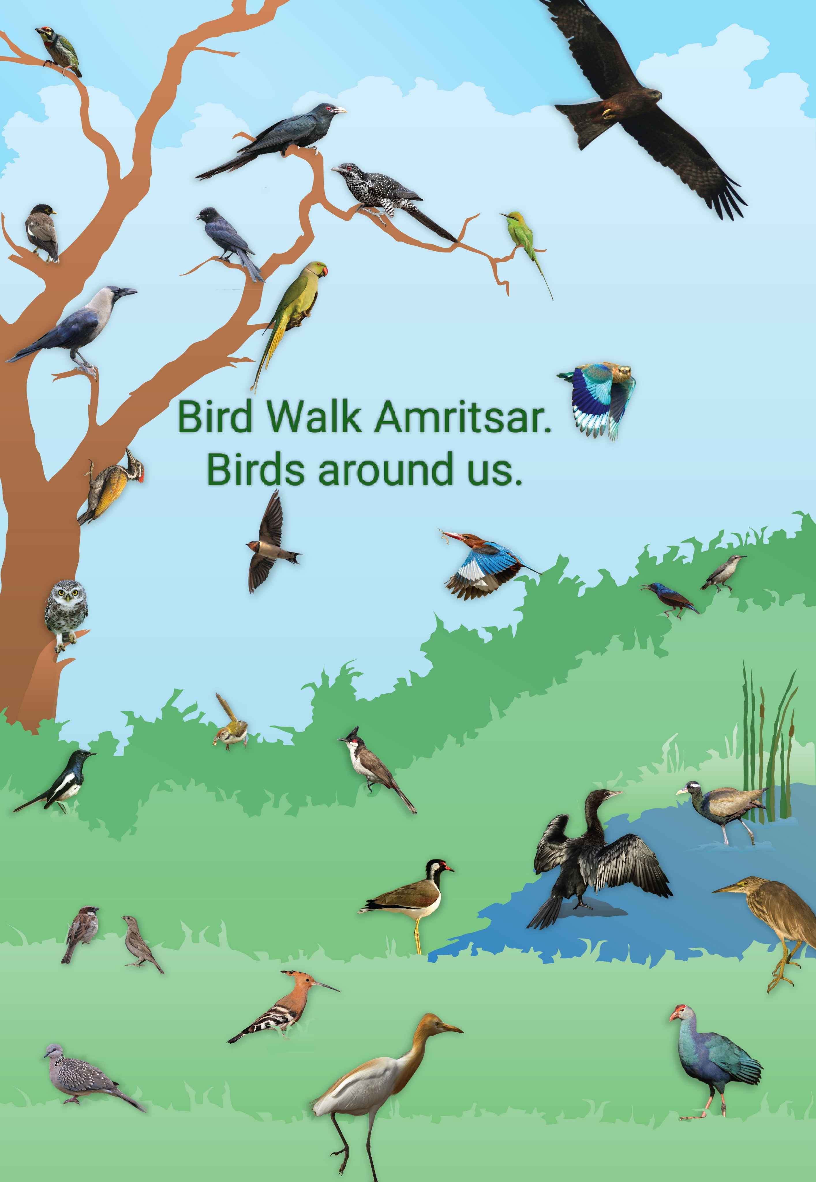 Bird Walk Company Bagh Amritsar