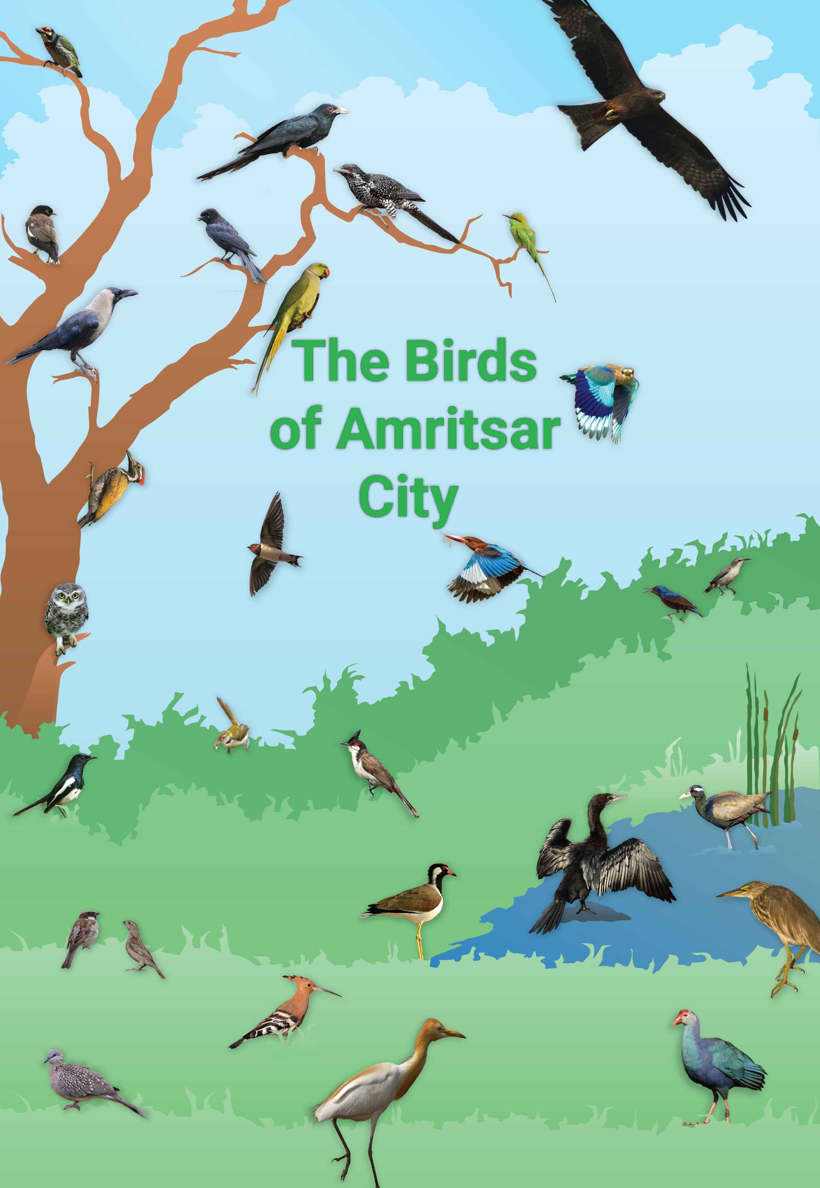 Avians of Amritsar City