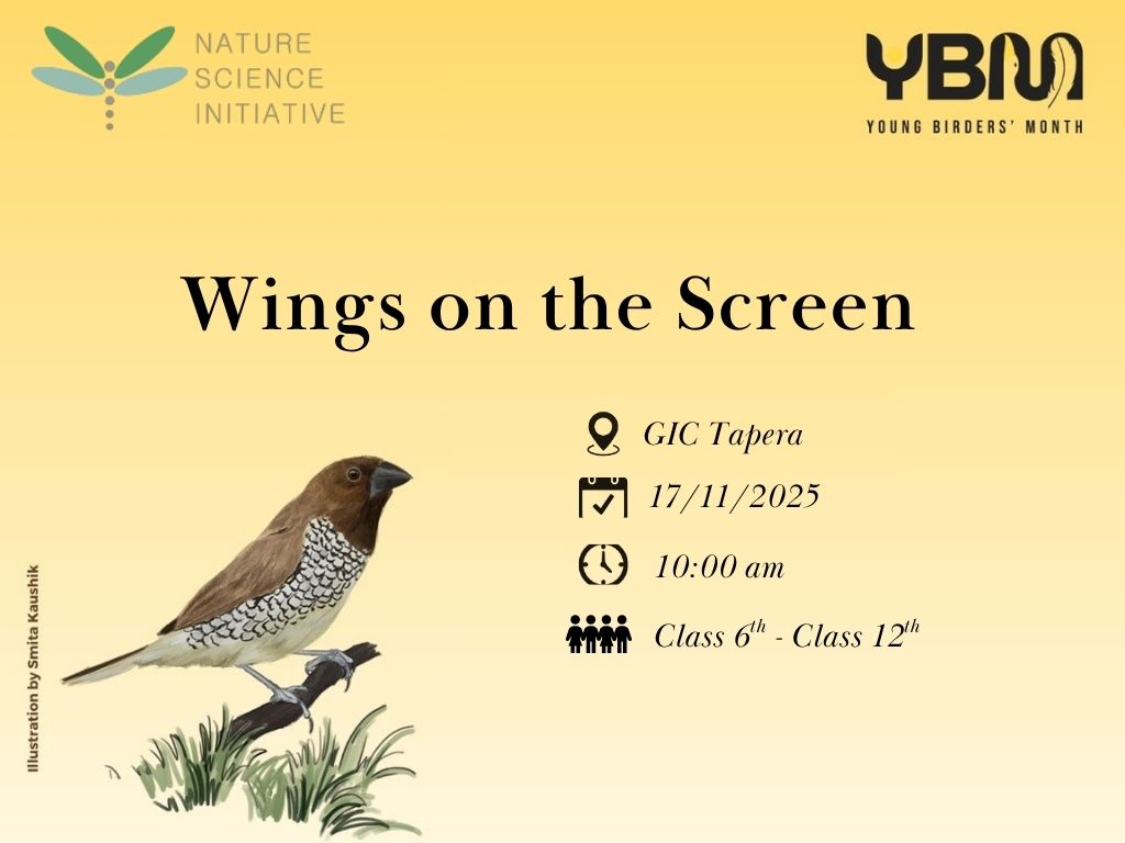 Wings on the Screen