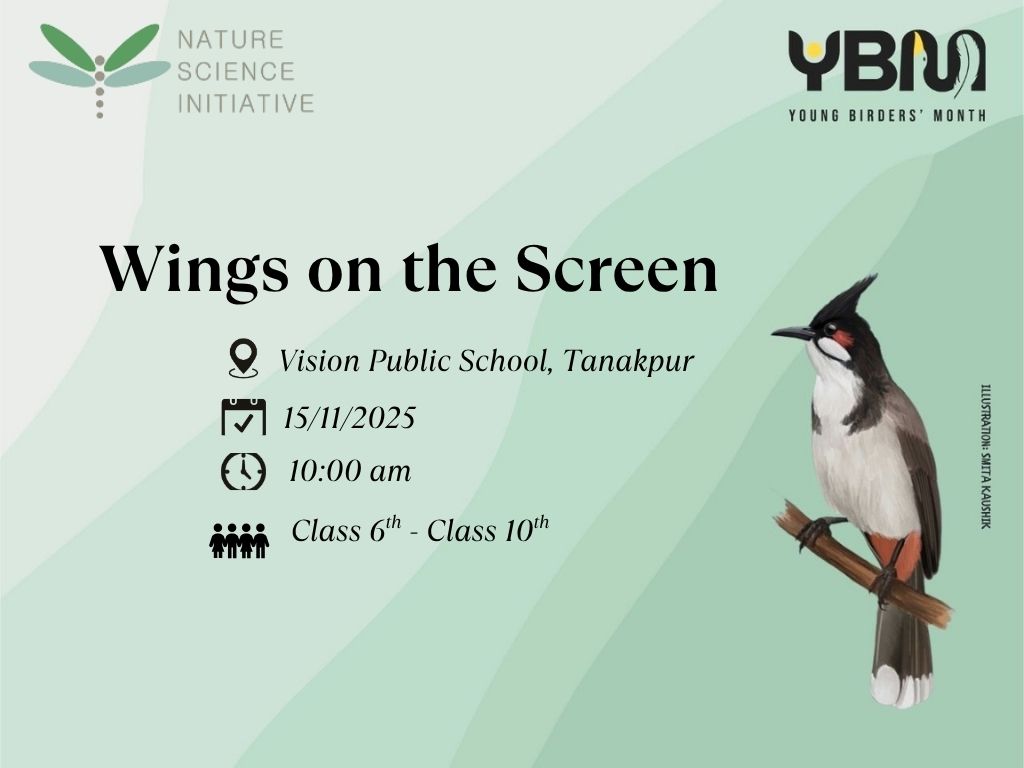 Wings on the Screen