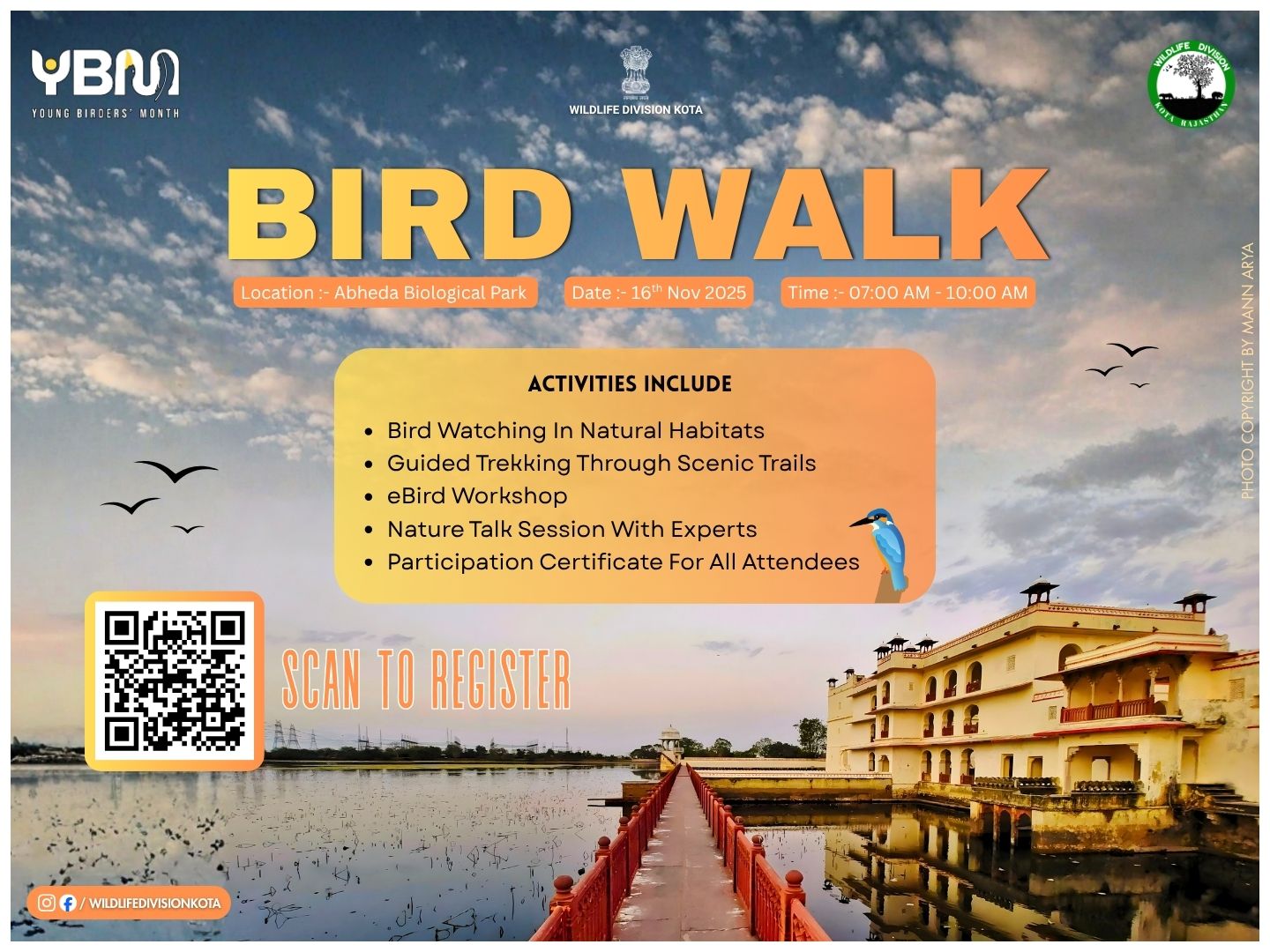 Bird Walk