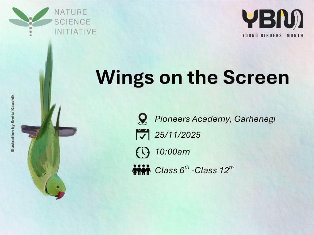Wings on the Screen