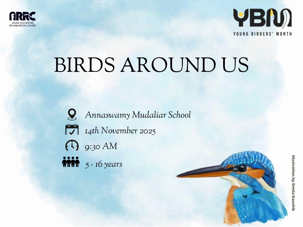 Birds Around Us