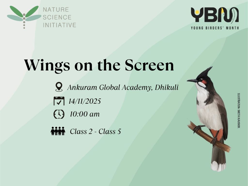 Wings on the Screen