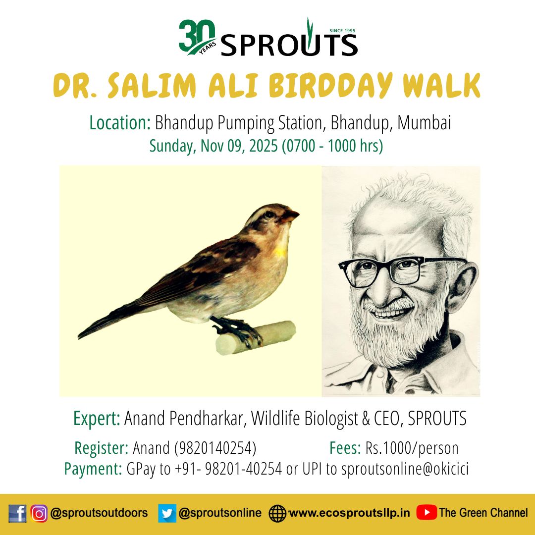 Dr. Salim Ali BirdDay Walk