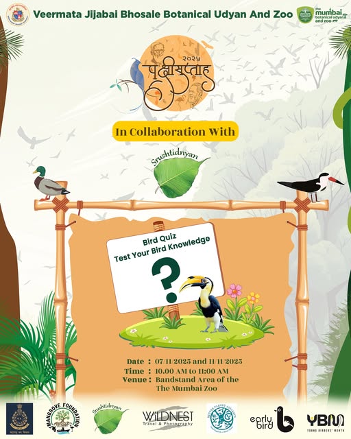 Bird-themed Quiz