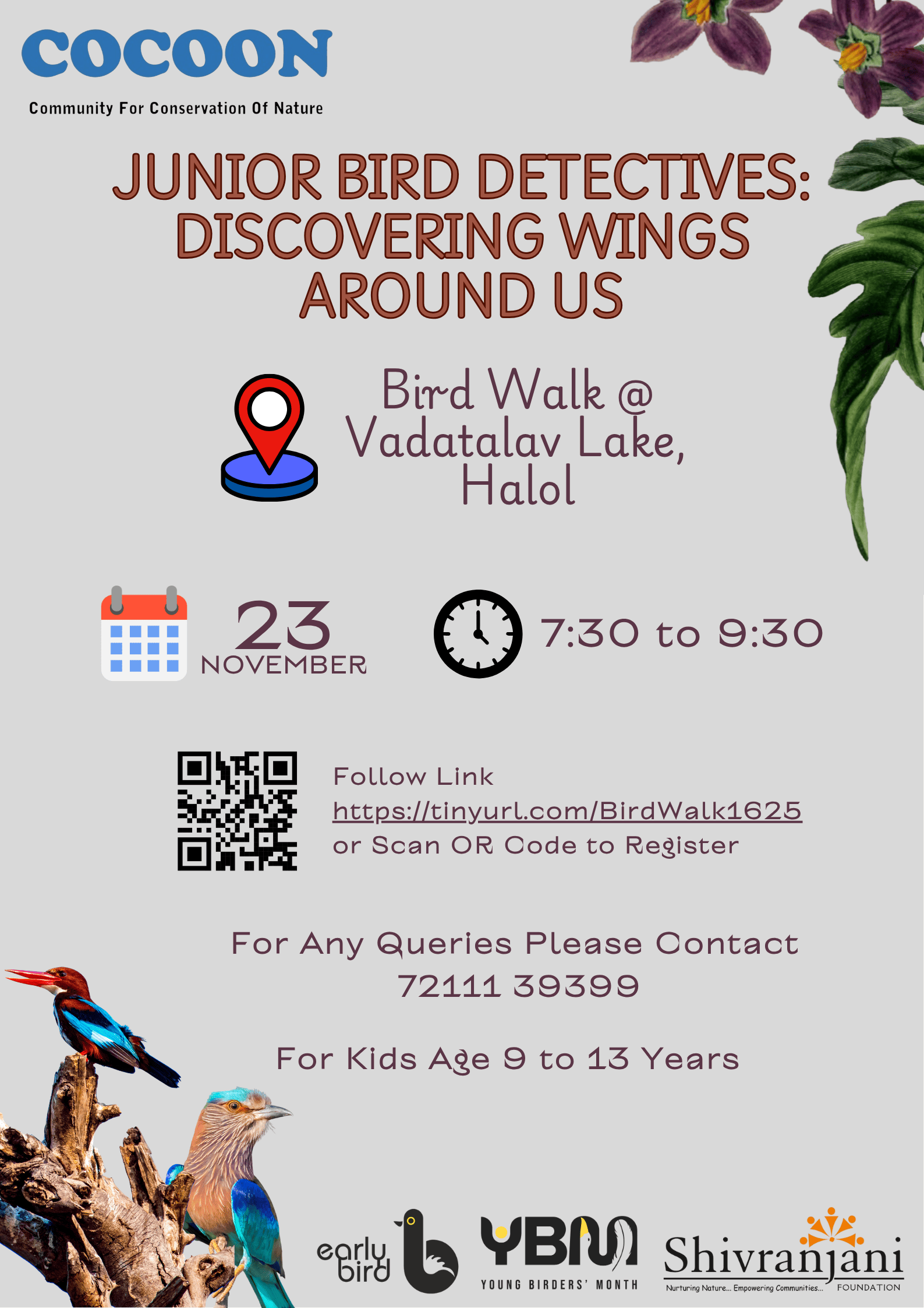 Junior Bird Detectives: Discovering Wings Around Us
