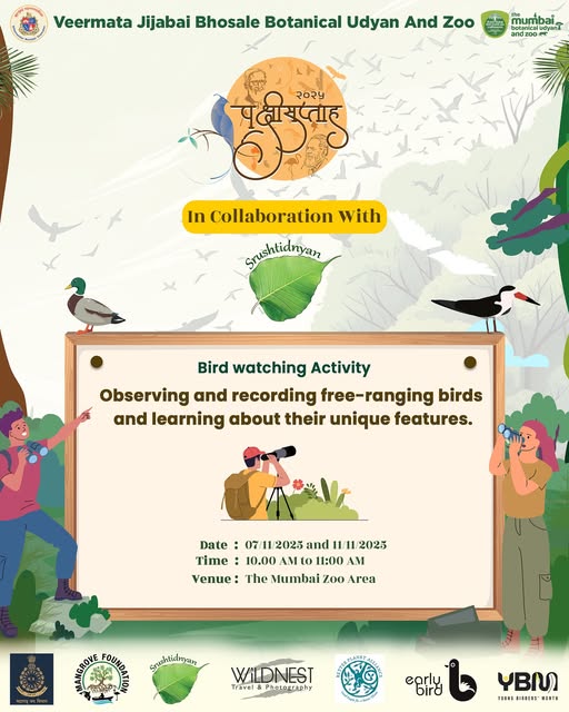 Bird Watching Activity