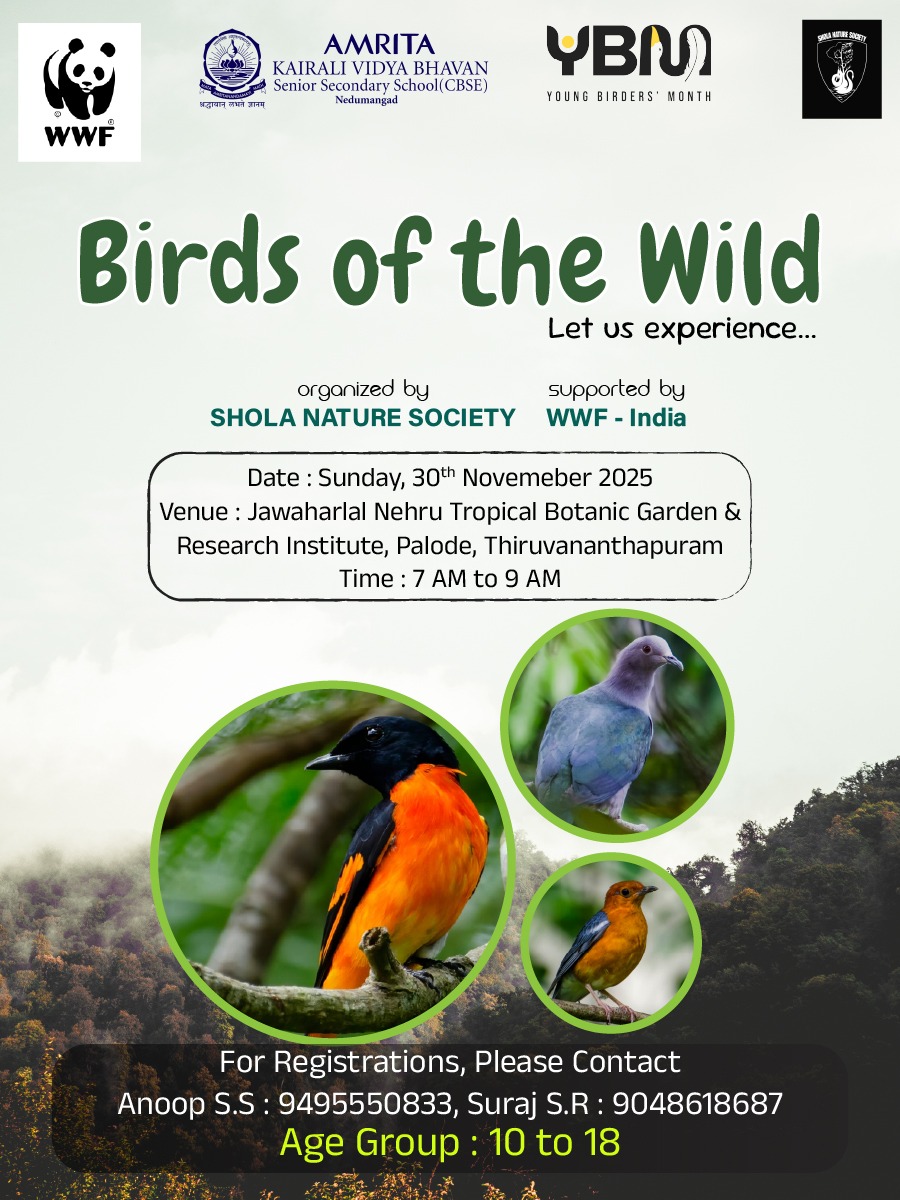 Birds of the Wild