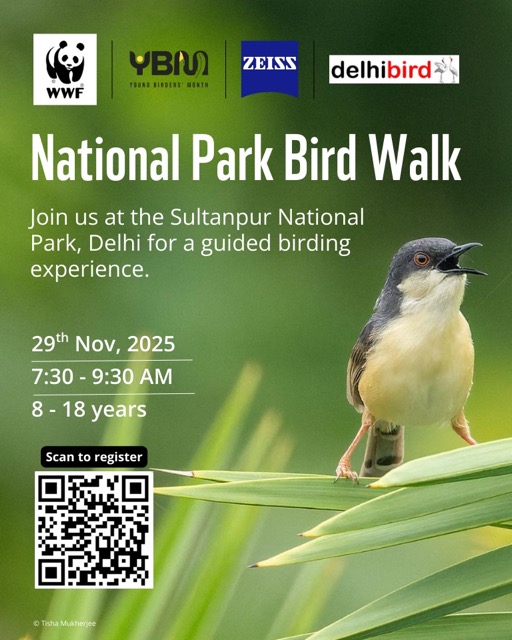 National Park Bird Walk