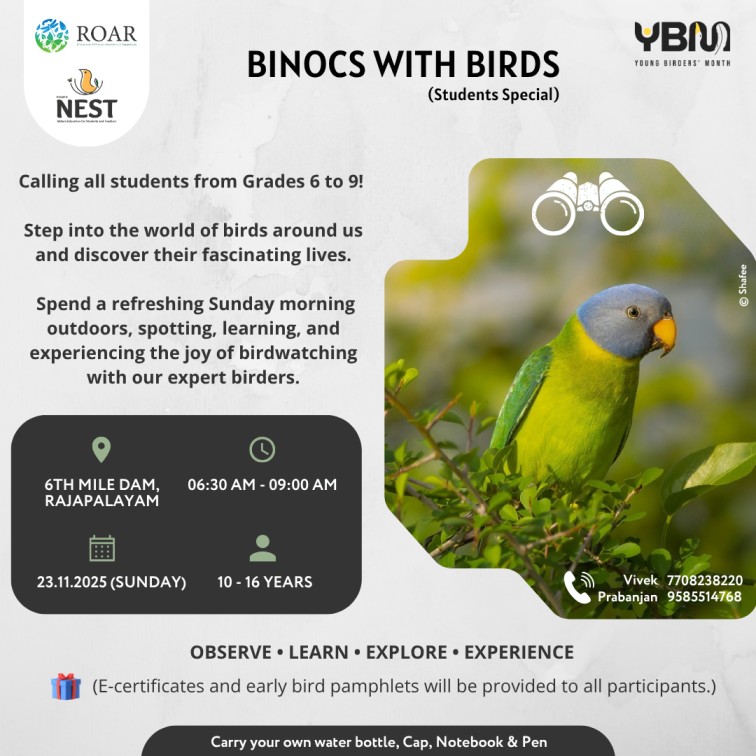 Binocs with birds