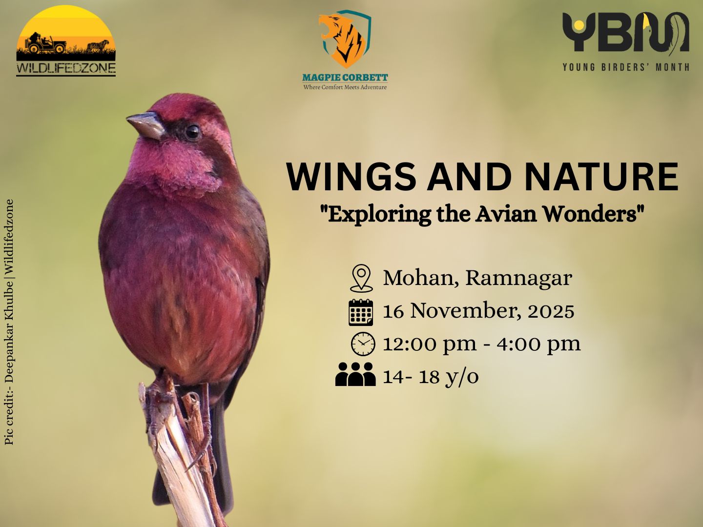 Wings and Nature