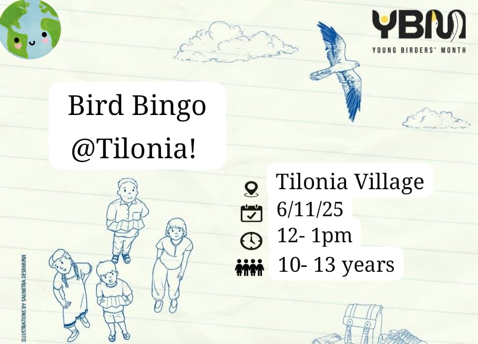 Barefoot Bird Bingo!!!