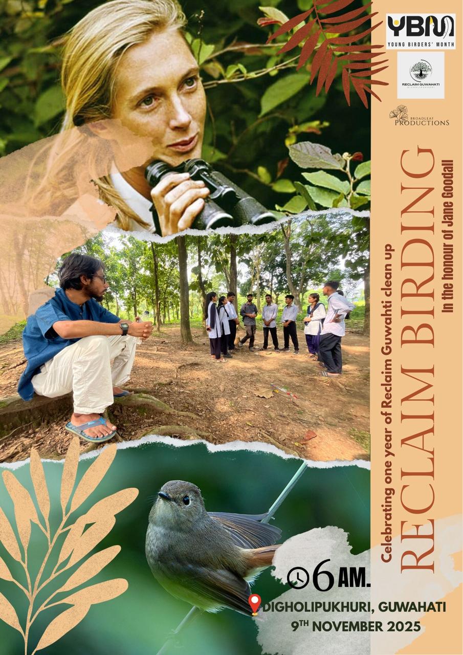 Reclaim Urban Birding