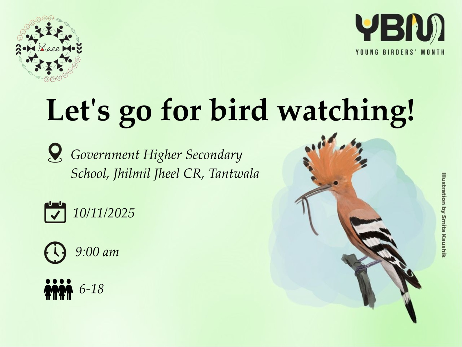 Let’s go for bird watching