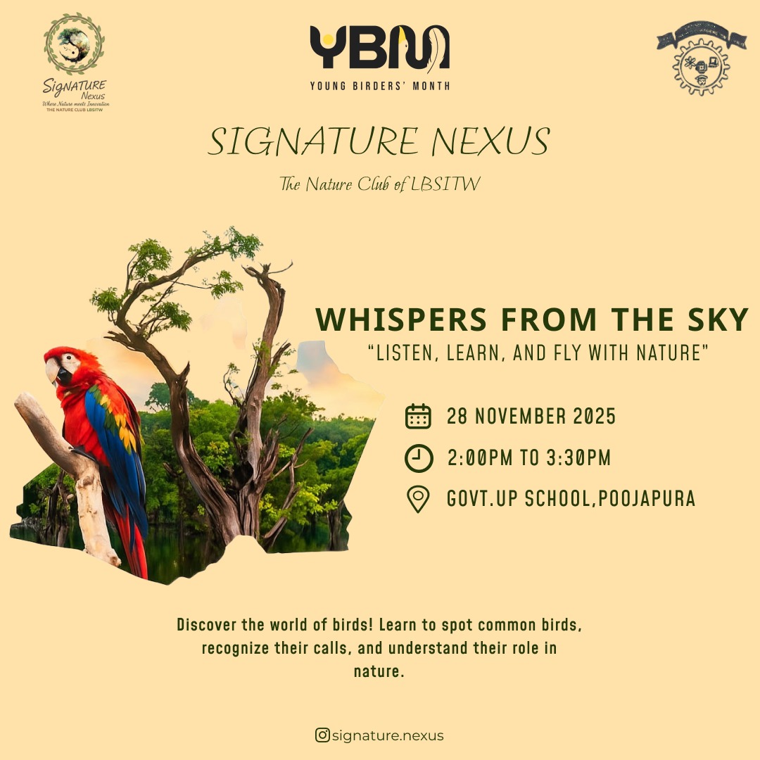 Whispers from the Sky